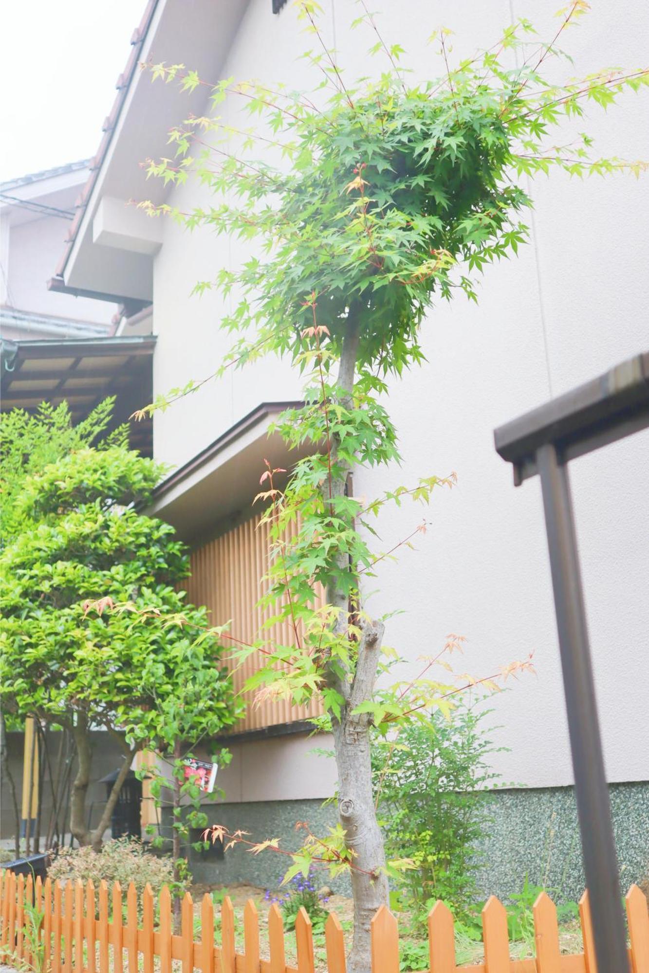 立花荘 Villa มัตสึยามะ ภายนอก รูปภาพ